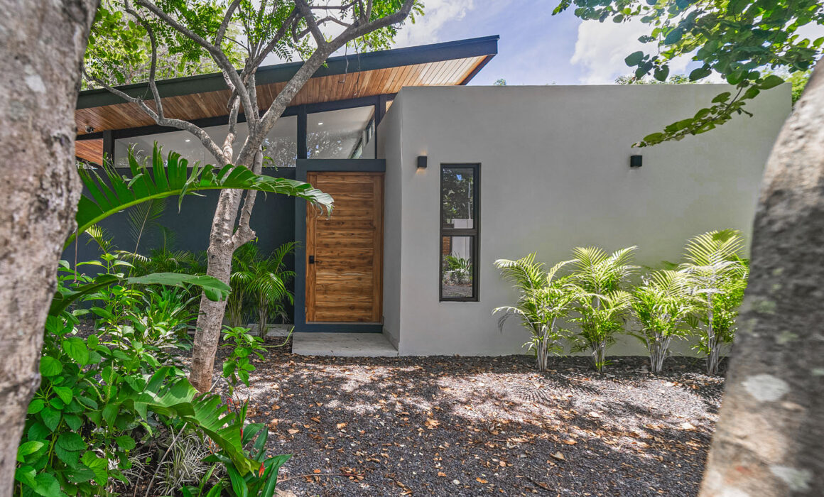 View of the main façade filtered through the branches of the front tree.