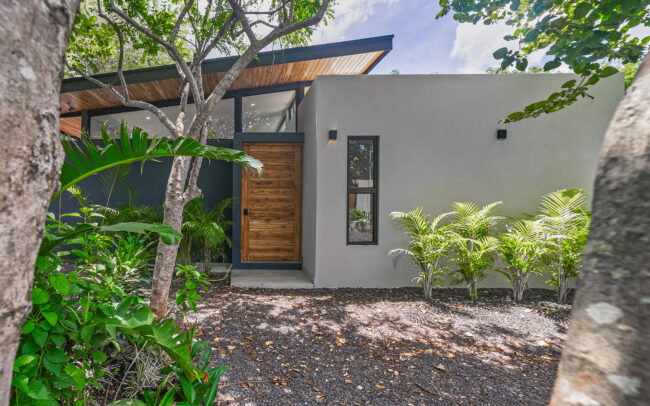 View of the main façade filtered through the branches of the front tree.